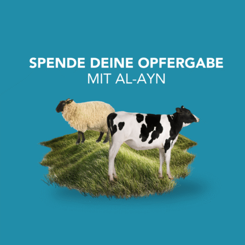 Opfergabe 2025